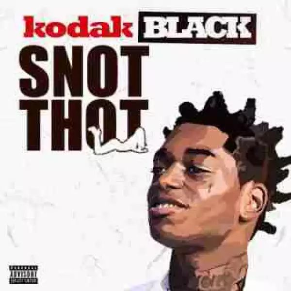 Instrumental: Kodak Black - Snot Thot